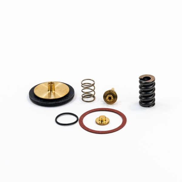 12217441 - REPAIR KIT – TCG 2032 STARTER TAMİR KİTİ