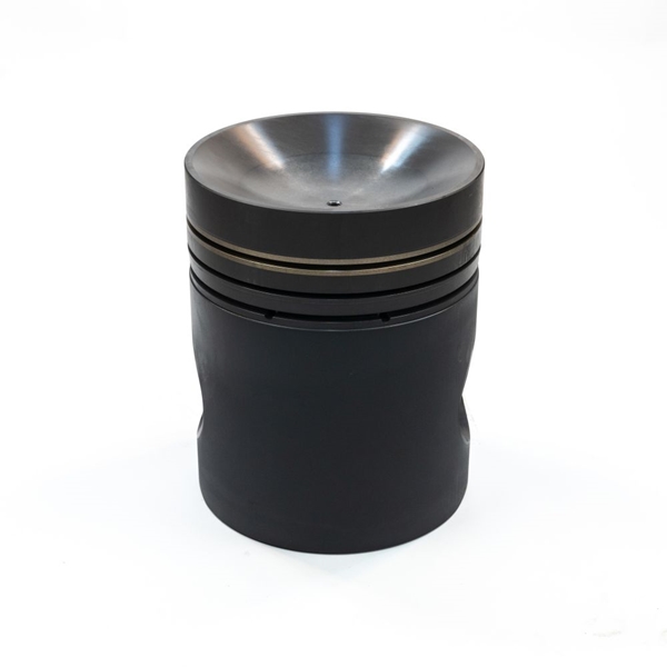 12283988 - PISTON